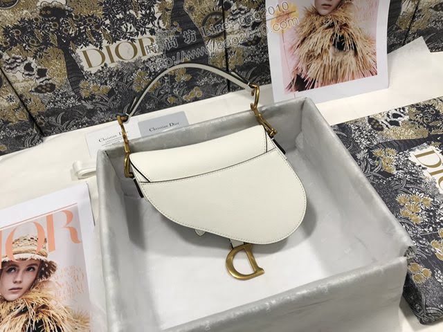 Dior女包 迪奧小號掌紋馬鞍包 Dior手提肩背包  dfk1795